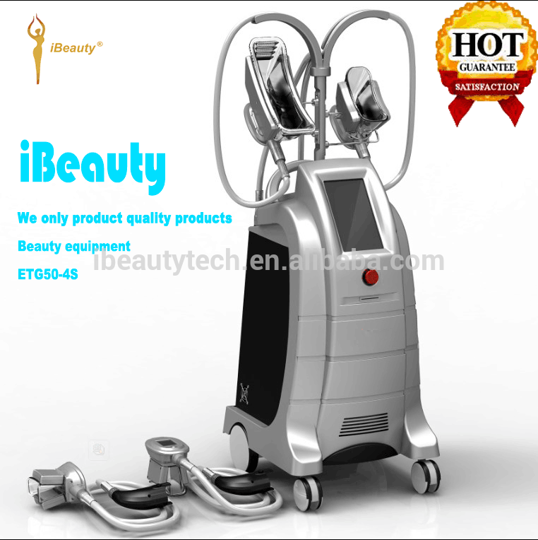 Professional cryotherapi fat freeze device, criolipolise machine for stubborn fat